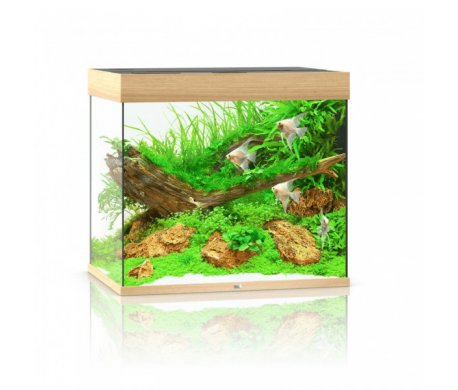 Juwel Aquarium Lido 200 Led + Filter kopen? | Dierenverblijf.com