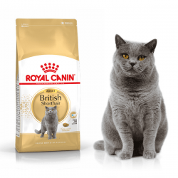 Royal Canin British Shorthair Adult 10kg