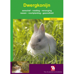 Dwergkonijn