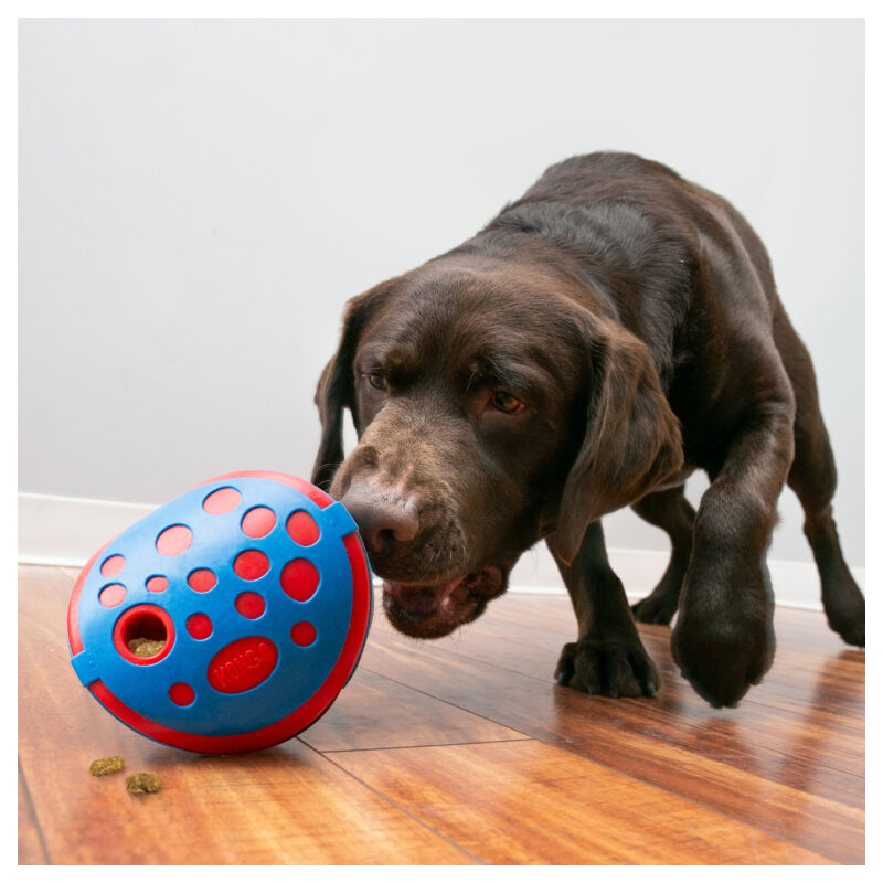 periscoop Feat Retentie Kong hond Rewards wally, medium/large kopen? | Dierenverblijf.com