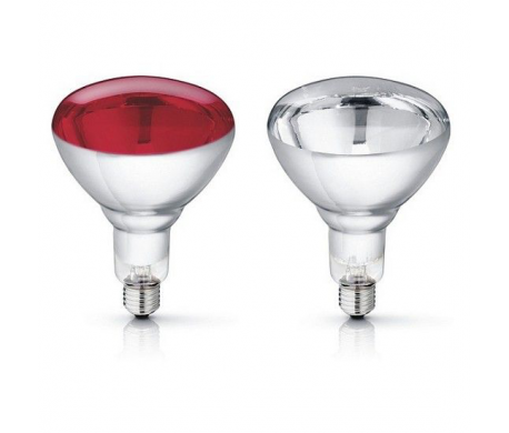 Retentie transactie te veel Philips Warmtelamp Hardglas kopen? | Dierenverblijf.com
