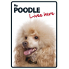 Poodle Lives here